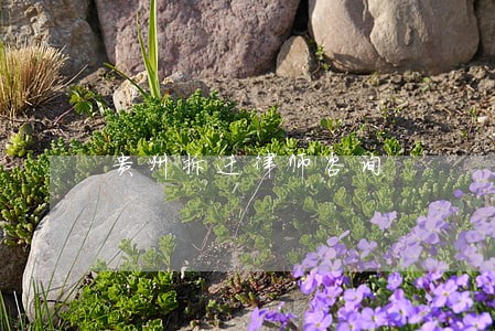 贵州拆迁律师咨询 贵州拆迁律师咨询