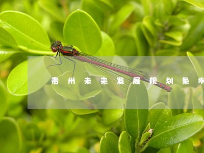贵州未来发展规划条例全文 贵州未来发展规划条例全文