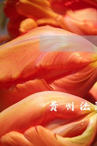 贵州法院一审立案标准 贵州法院一审立案标准