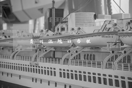 贵州法院公告栏