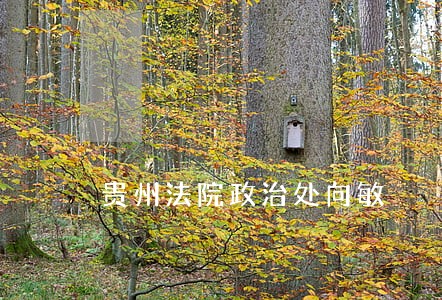 贵州法院政治处向敏 贵州法院政治处向敏