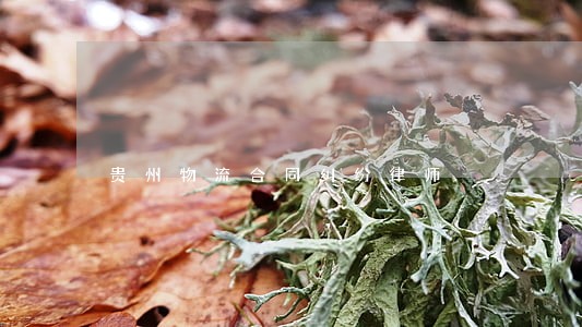 贵州物流合同纠纷律师 贵州物流合同纠纷律师