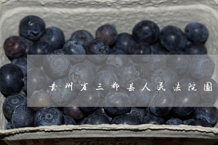 贵州省三都县人民法院图片 贵州省三都县人民法院图片