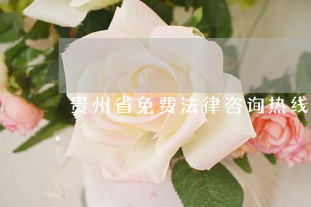 贵州省免费法律咨询热线 贵州省免费法律咨询热线