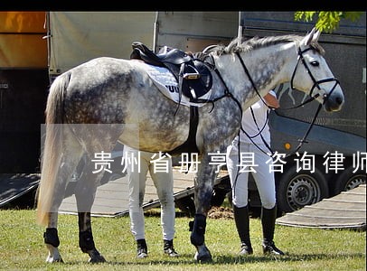 贵州省册亨县咨询律师电话 贵州省册亨县咨询律师电话