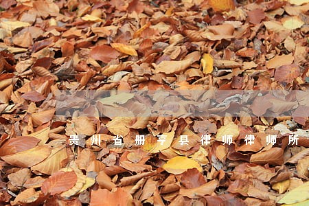 贵州省册亨县律师律师所 贵州省册亨县律师律师所
