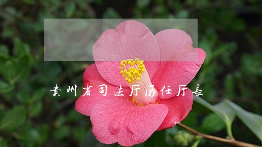 贵州省司法厅历任厅长