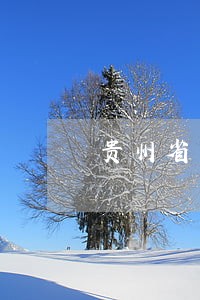 贵州省司法笔迹签定中心 贵州省司法笔迹签定中心