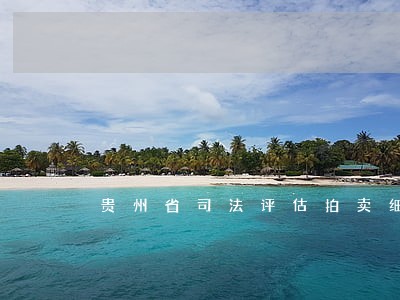 贵州省司法评估拍卖细则 贵州省司法评估拍卖细则