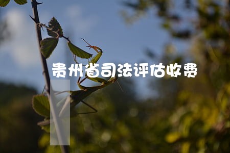贵州省司法评估收费