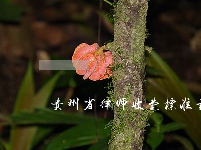 贵州省律师收费标准最新规定出台 贵州省律师收费标准最新规定出台