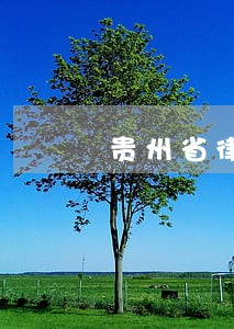 贵州省律师收费计算器 贵州省律师收费计算器