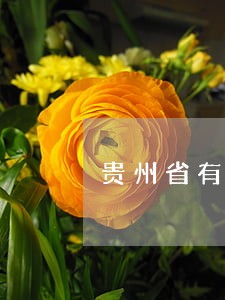 贵州省有关鱼类鸟类的法规