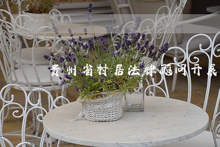贵州省村居法律顾问开展情况