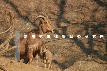 贵州省法律援助中心官网 贵州省法律援助中心官网