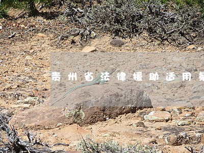 贵州省法律援助适用条件 贵州省法律援助适用条件