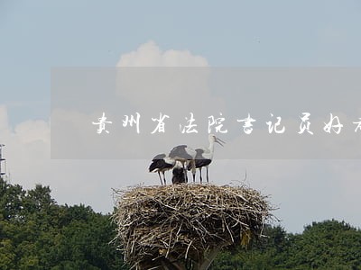 贵州省法院书记员好考吗