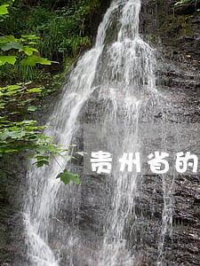 贵州省的地方性法规 贵州省的地方性法规