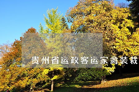 贵州省运政客运家禽装裁法规 贵州省运政客运家禽装裁法规