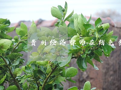 贵州经济律师在线免费咨询 贵州经济律师在线免费咨询
