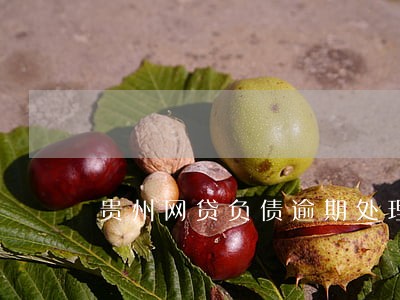 贵州网贷负债逾期处理律师 贵州网贷负债逾期处理律师