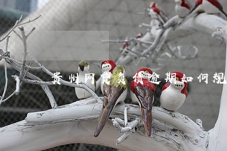 贵州网贷负债逾期如何规划还款 贵州网贷负债逾期如何规划还款