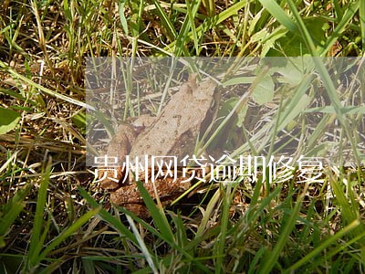 贵州网贷逾期修复 贵州网贷逾期修复