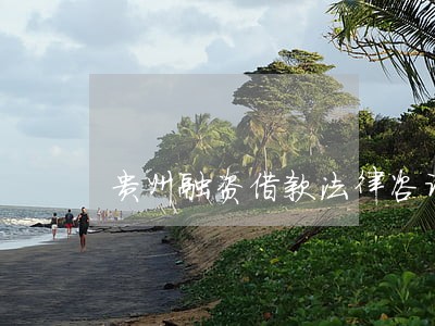 贵州融资借款法律咨询热线 贵州融资借款法律咨询热线