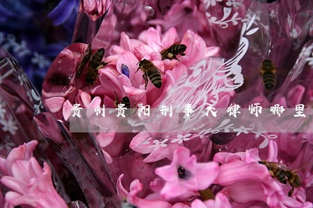 贵州贵阳刑事大律师哪里找 贵州贵阳刑事大律师哪里找