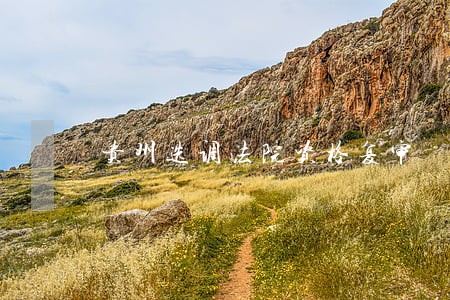 贵州选调法院资格复审