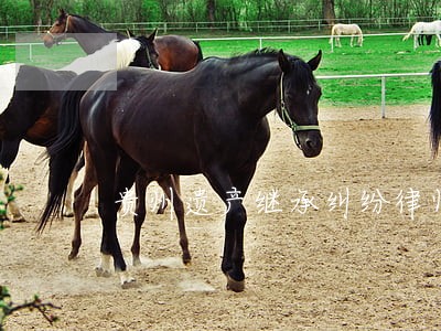 贵州遗产继承纠纷律师
