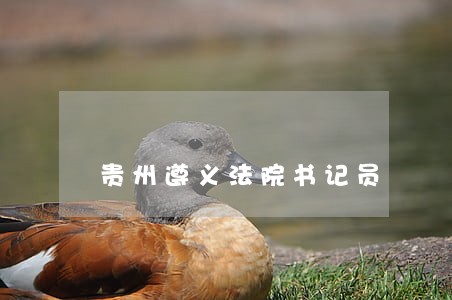 贵州遵义法院书记员
