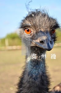 贵州遵义法院电话多少时间 贵州遵义法院电话多少时间