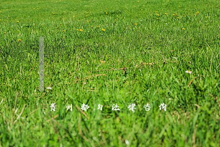 贵州都匀法律咨询