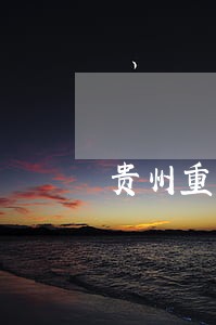 贵州重力科技环保诉讼 贵州重力科技环保诉讼