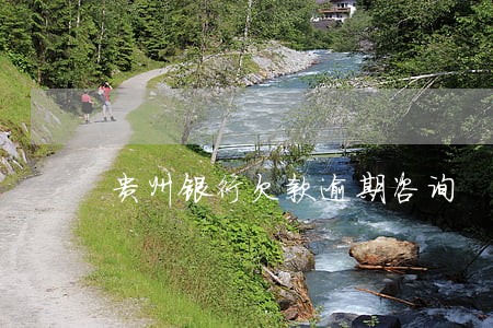贵州银行欠款逾期咨询 贵州银行欠款逾期咨询