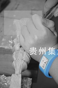 贵州集法律师事务所 贵州集法律师事务所