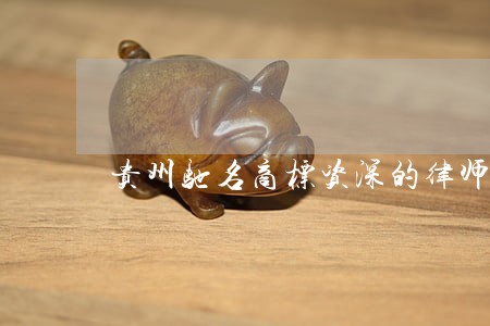 贵州驰名商标资深的律师 贵州驰名商标资深的律师