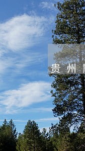 贵州黔鹰律师事务所 贵州黔鹰律师事务所