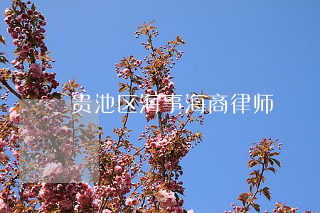贵池区海事海商律师 贵池区海事海商律师