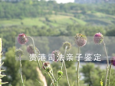 贵港司法亲子鉴定 贵港司法亲子鉴定