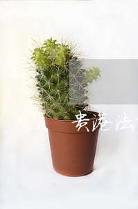 贵港法院待遇 贵港法院待遇