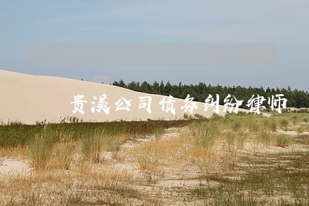 贵溪公司债务纠纷律师 贵溪公司债务纠纷律师