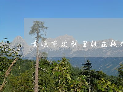 贵溪市改制重组在线律师 贵溪市改制重组在线律师