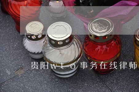 贵阳wto事务在线律师咨询