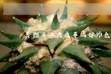 贵阳专办交通事故律师免费咨询 贵阳专办交通事故律师免费咨询