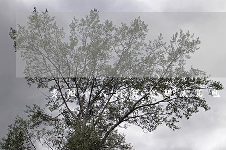 贵阳个人网贷逾期恢复电话