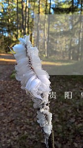 贵阳乌当区专业合同律师费 贵阳乌当区专业合同律师费
