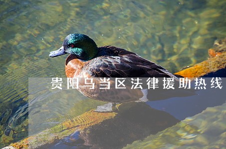 贵阳乌当区法律援助热线 贵阳乌当区法律援助热线