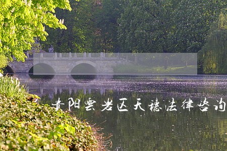 贵阳云岩区天穗法律咨询公司 贵阳云岩区天穗法律咨询公司